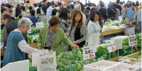 おんさい広場鷺山 おんさい広場鷺山